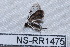  ( - NS-RR1475)  @12 [ ] Copyright (2011) Rodolphe Rougerie University de Rouen
