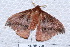  ( - NS-RR1795)  @12 [ ] Copyright (2011) Rodolphe Rougerie University de Rouen