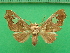  ( - KLM Lep 09807)  @11 [ ] CreativeCommons - Attribution Non-Commercial Share-Alike (2018) Christian Wieser Landesmuseum Kärnten