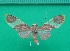  ( - KLM Lep 10196)  @13 [ ] CreativeCommons - Attribution Non-Commercial Share-Alike (2018) Christian Wieser Landesmuseum Kärnten