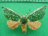  ( - KLM Lep 10854)  @11 [ ] CreativeCommons - Attribution Non-Commercial Share-Alike (2018) Christian Wieser Landesmuseum Kärnten