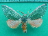  ( - KLM Lep 10855)  @11 [ ] CreativeCommons - Attribution Non-Commercial Share-Alike (2018) Christian Wieser Landesmuseum Kärnten