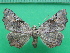  ( - KLM Lep 11050)  @13 [ ] CreativeCommons - Attribution Non-Commercial Share-Alike (2018) Christian Wieser Landesmuseum Kärnten