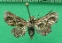  ( - KLM Lep 11974)  @13 [ ] CreativeCommons - Attribution Non-Commercial Share-Alike (2018) Christian Wieser Landesmuseum Kärnten