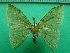  ( - KLM Lep 12508)  @13 [ ] CreativeCommons - Attribution Non-Commercial Share-Alike (2018) Christian Wieser Landesmuseum Kärnten