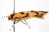  ( - 05-NSW-01282)  @12 [ ] CreativeCommons - Attribution (2010) Unspecified Centre for Biodiversity Genomics