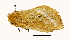  ( - AM 2300)  @11 [ ] Unspecified (default): All Rights Reserved  Unspecified Unspecified