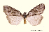  ( - AM 1973)  @13 [ ] CreativeCommons - Attribution (2010) Unspecified Centre for Biodiversity Genomics