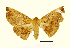  ( - AM 1996)  @13 [ ] CreativeCommons - Attribution (2010) Unspecified Centre for Biodiversity Genomics