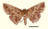  ( - AM 2034)  @13 [ ] CreativeCommons - Attribution (2010) Unspecified Centre for Biodiversity Genomics
