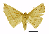  ( - AM 2024)  @14 [ ] CreativeCommons - Attribution (2010) Unspecified Centre for Biodiversity Genomics