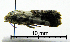  ( - ww04195)  @11 [ ] CreativeCommons - Attribution (2010) Unspecified Centre for Biodiversity Genomics