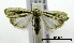  ( - ww04201)  @13 [ ] CreativeCommons - Attribution (2010) Unspecified Centre for Biodiversity Genomics