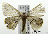  ( - ww04202)  @13 [ ] CreativeCommons - Attribution (2010) Unspecified Centre for Biodiversity Genomics