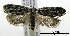  ( - ww04204)  @11 [ ] CreativeCommons - Attribution (2010) Unspecified Centre for Biodiversity Genomics