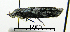  ( - ww04212)  @11 [ ] CreativeCommons - Attribution (2010) Unspecified Centre for Biodiversity Genomics