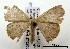 ( - ww04223)  @13 [ ] CreativeCommons - Attribution (2010) Unspecified Centre for Biodiversity Genomics