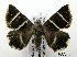  ( - ww04229)  @14 [ ] CreativeCommons - Attribution (2010) Unspecified Centre for Biodiversity Genomics