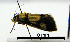  ( - ww04241)  @12 [ ] CreativeCommons - Attribution (2010) Unspecified Centre for Biodiversity Genomics