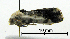  ( - ww04242)  @13 [ ] CreativeCommons - Attribution (2010) Unspecified Centre for Biodiversity Genomics