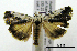  ( - ww04244)  @13 [ ] CreativeCommons - Attribution (2010) Unspecified Centre for Biodiversity Genomics