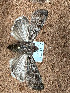  ( - BZ_23_38)  @11 [ ] CreativeCommons  Attribution Share-Alike (by-sa) (2024) Unspecified Linnaeus University