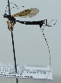  ( - NJP1155)  @11 [ ] CreativeCommons  Attribution Share-Alike (by-sa) (2023) Unspecified Linnaeus University