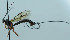  ( - NJP1159)  @11 [ ] CreativeCommons  Attribution Share-Alike (by-sa) (2023) Unspecified Linnaeus University
