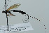  ( - NJP1207)  @11 [ ] CreativeCommons  Attribution Share-Alike (by-sa) (2023) Unspecified Linnaeus University