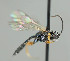  ( - NJP1270)  @11 [ ] CreativeCommons  Attribution Share-Alike (by-sa) (2025) Unspecified Linnaeus University