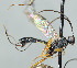  ( - NJP1278)  @11 [ ] CreativeCommons  Attribution Share-Alike (by-sa) (2025) Unspecified Linnaeus University