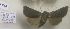  ( - AVM860)  @11 [ ] CreativeCommons - Attribution Non-Commercial Share-Alike (2018) Markus Franzen Linnaeus university