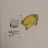  ( - AVM1297)  @11 [ ] CreativeCommon (2018) Markus Franzen Linnaeus university