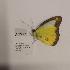  ( - AVM1427)  @11 [ ] CreativeCommon (2018) Markus Franzen Linnaeus university