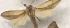  ( - AVM711)  @11 [ ] CreativeCommons - Attribution Non-Commercial Share-Alike (2018) Markus Franzen Linnaeus university