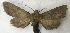  ( - AVM822)  @11 [ ] CreativeCommons - Attribution Non-Commercial Share-Alike (2018) Markus Franzen Linnaeus university