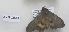  ( - AVM1023)  @11 [ ] CreativeCommons - Attribution Non-Commercial Share-Alike (2018) Markus Franzen Linnaeus university