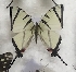  ( - AVM_63)  @11 [ ] CreativeCommons - Attribution Non-Commercial Share-Alike (2017) Markus Franzen Linnaeus university