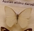  ( - AVM_94)  @11 [ ] CreativeCommons - Attribution Non-Commercial Share-Alike (2017) Markus Franzen Linnaeus university