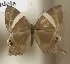  ( - AVM_397)  @11 [ ] CreativeCommons - Attribution Non-Commercial Share-Alike (2017) Markus Franzen Linnaeus university
