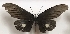  ( - AVM_420)  @11 [ ] CreativeCommons - Attribution Non-Commercial Share-Alike (2017) Markus Franzen Linnaeus university