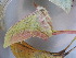  ( - 17_FAZS_232)  @11 [ ] CreativeCommons - Attribution Non-Commercial Share-Alike (2017) Markus Franzen Linnaeus university