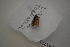  ( - AVM1758)  @11 [ ] CreativeCommon (2259) Markus Franzen Linnaeus university
