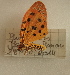  ( - 17_FAZS_112)  @11 [ ] CreativeCommons - Attribution Non-Commercial Share-Alike (2017) Markus Franzen Linnaeus university