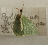  ( - 17_FAZS_122)  @11 [ ] CreativeCommons - Attribution Non-Commercial Share-Alike (2017) Markus Franzen Linnaeus university