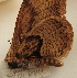  ( - 17_FAZS_143)  @12 [ ] CreativeCommons - Attribution Non-Commercial Share-Alike (2017) Markus Franzen Linnaeus university