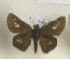  ( - AVM_380)  @11 [ ] CreativeCommons - Attribution Non-Commercial Share-Alike (2017) Markus Franzen Linnaeus university