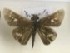  ( - AVM_381)  @12 [ ] CreativeCommons - Attribution Non-Commercial Share-Alike (2017) Markus Franzen Linnaeus university