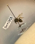  ( - 2022AVM1808)  @11 [ ] CreativeCommon (2022) Markus Franzen Linnaeus university