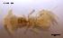  ( - LMBRUN2-001)  @13 [ ] Unspecified (default): All Rights Reserved (2012) Unspecified Unspecified